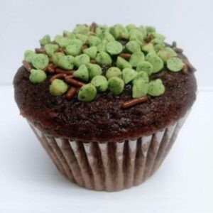 Amazing Chocolate Mint Cup Cake | Decadent Chocolate Cupcake with a Refreshing Minty Frosting